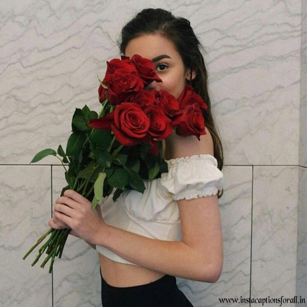 red rose dp for whatsapp