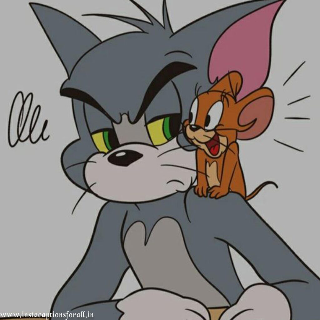 tom and jerry dp pic